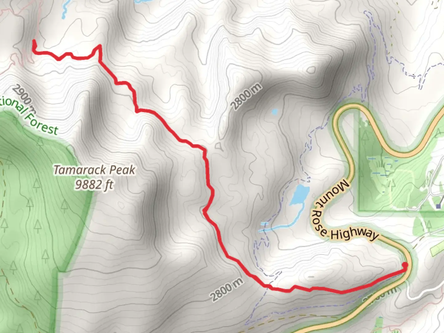 An image depicting the trail Tahoe Rim Trail - RelayPeak from Mount Rose Summit and its surrounding area.