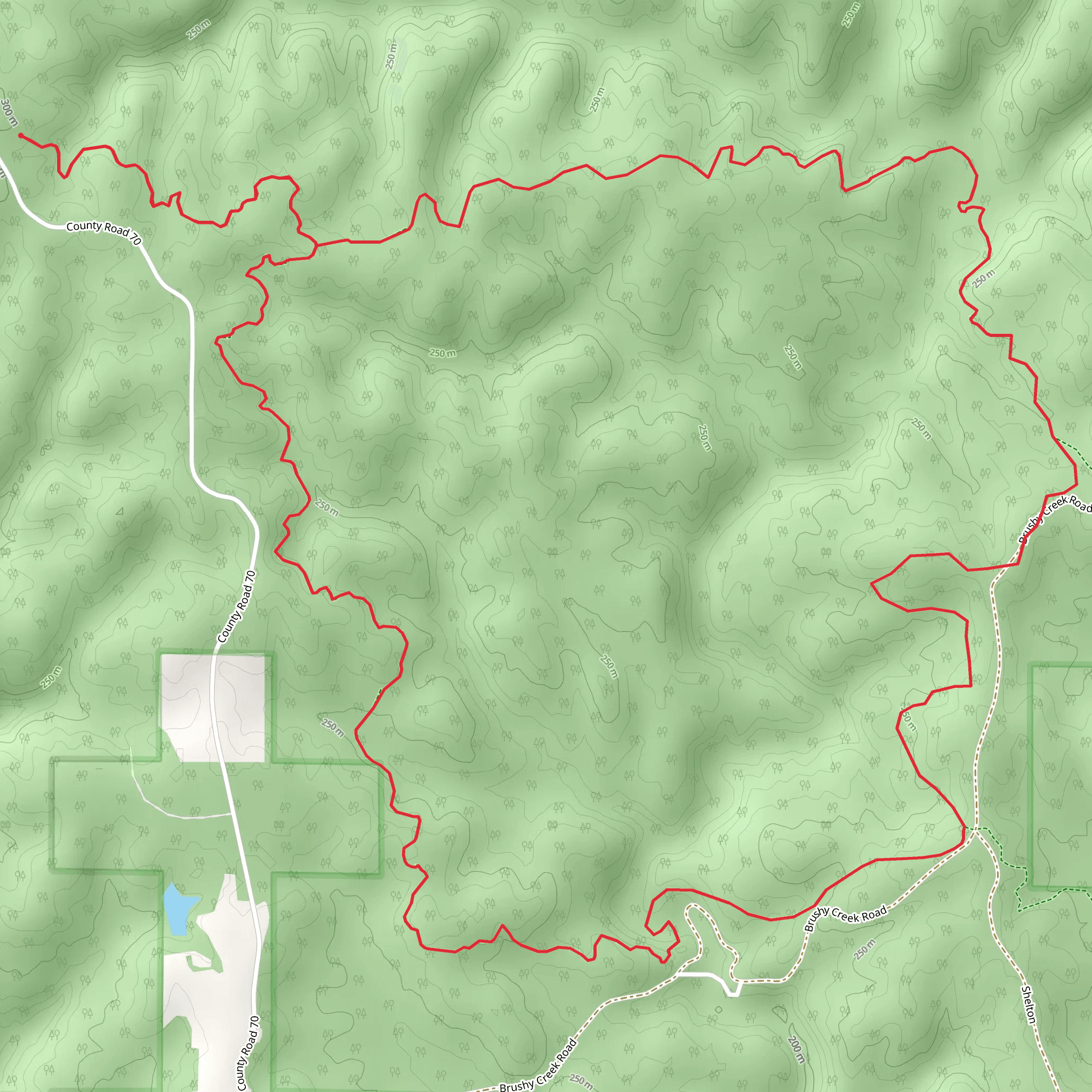 Pine Torch Horse Loop mobile static map