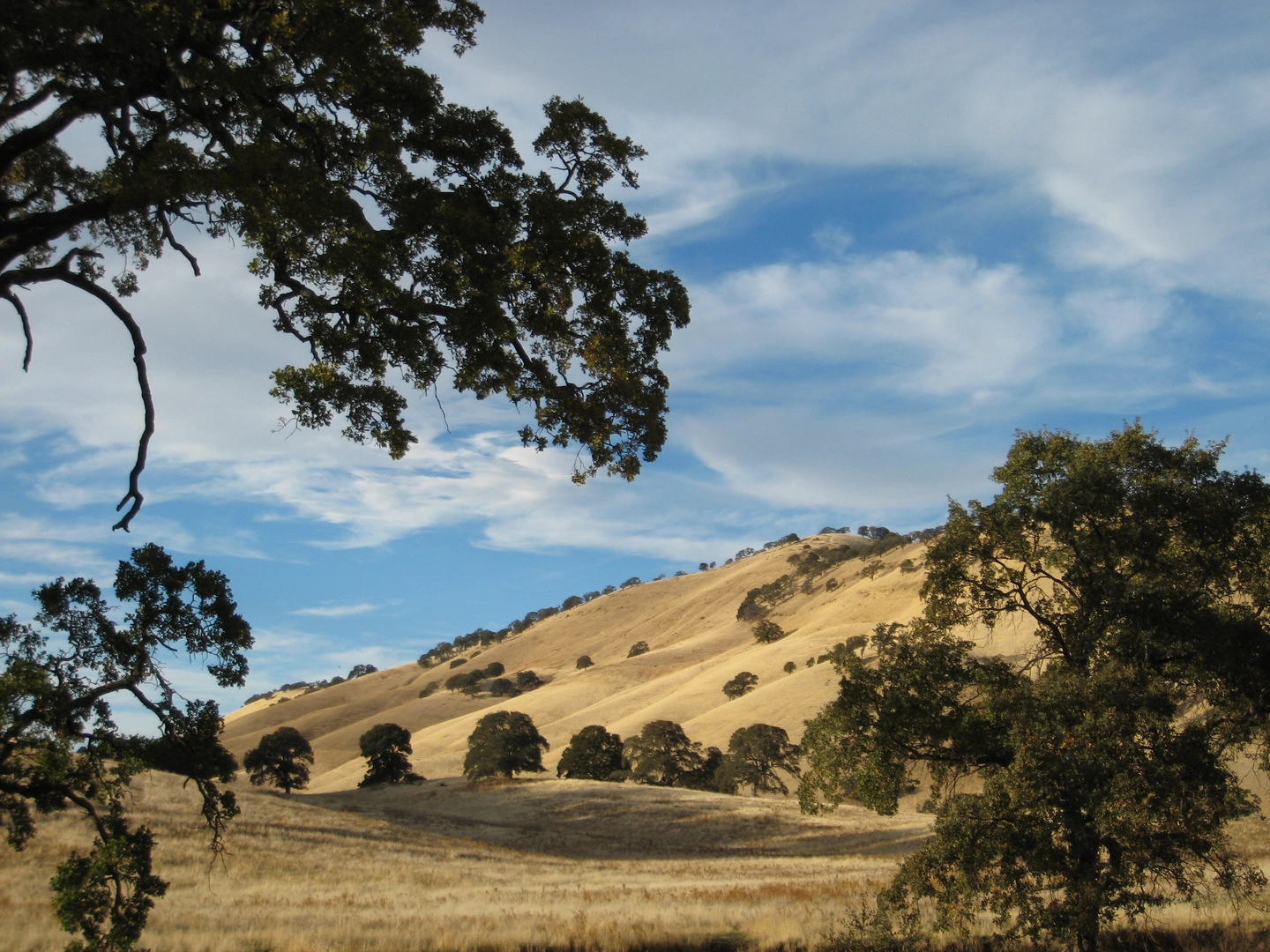 An image depicting the trail Round Valley Group Camp via Miwok Trail and its surrounding area.