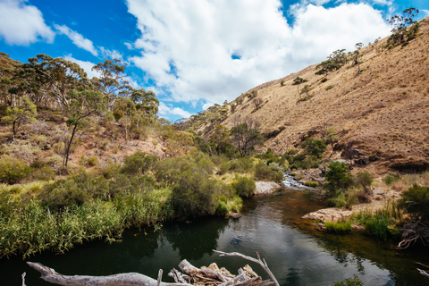 An image depicting the trail Granites - Saddle and Ironbark Gorge Trail and its surrounding area.