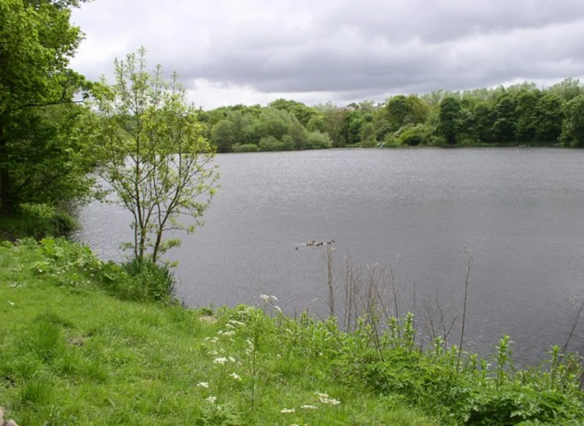 Haggate and Rowley Lake Loop