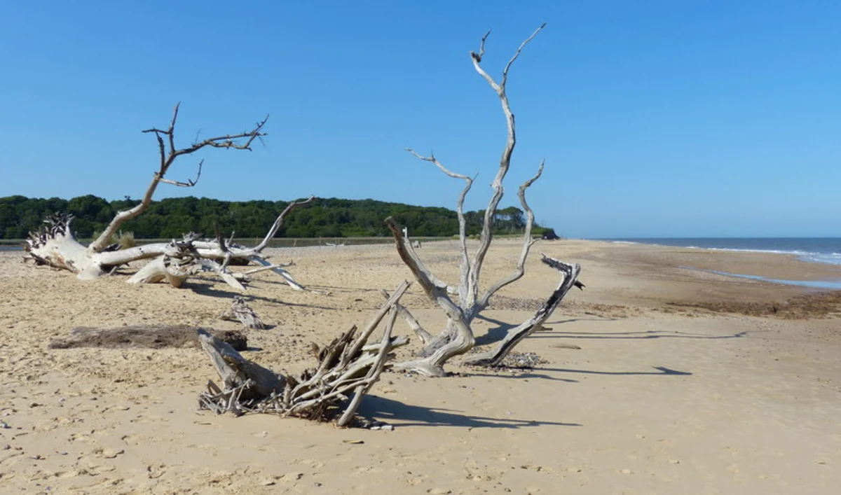 Benacre National Nature Reserve Walk