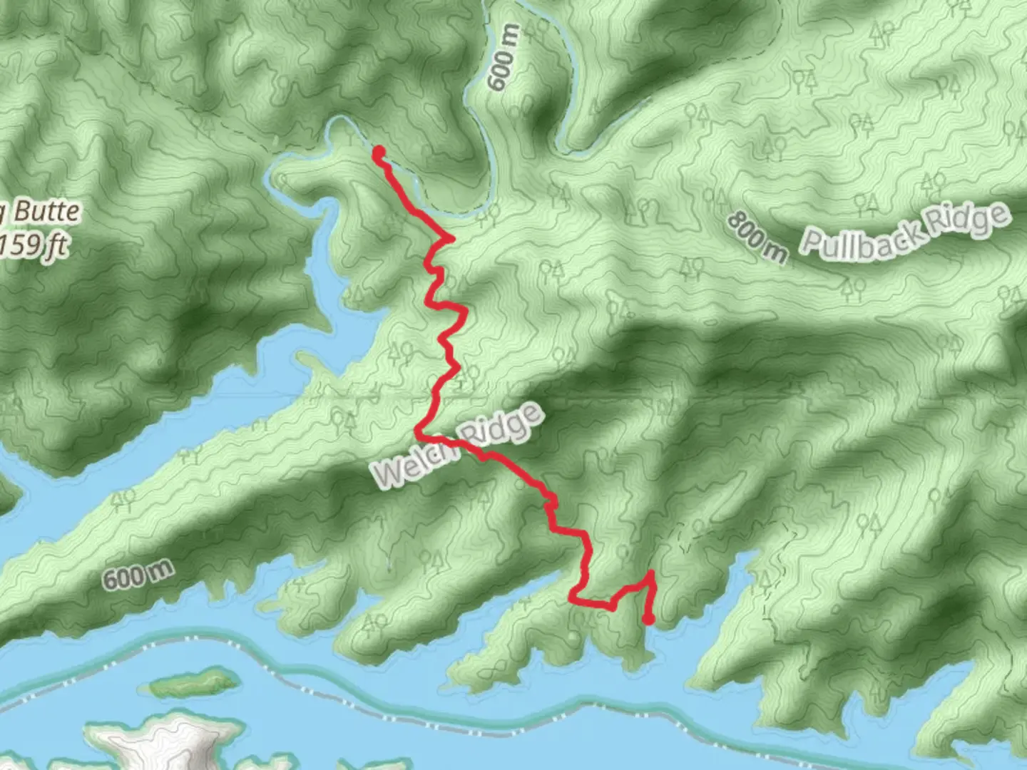 An image depicting the trail Lakeshore Trail to Hazel Creek Trail and its surrounding area.