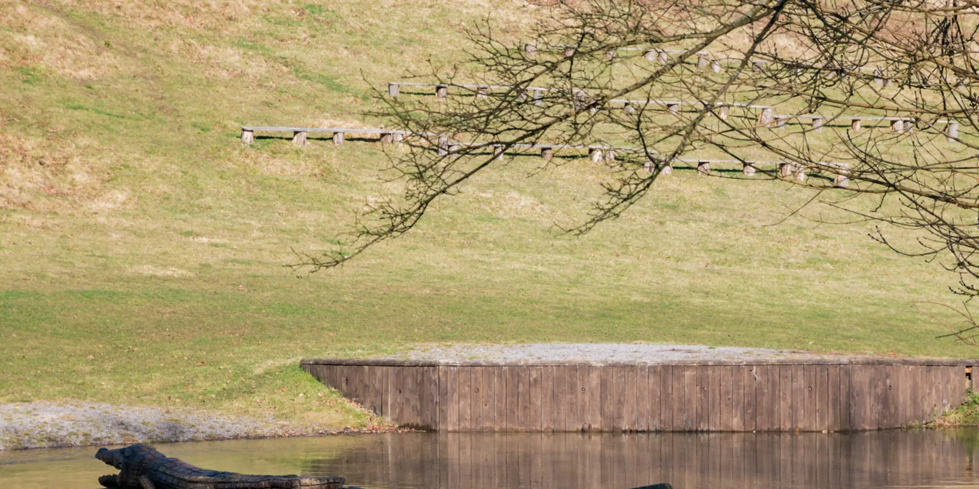 An image depicting the trail Chilham Circular from Wye and its surrounding area.