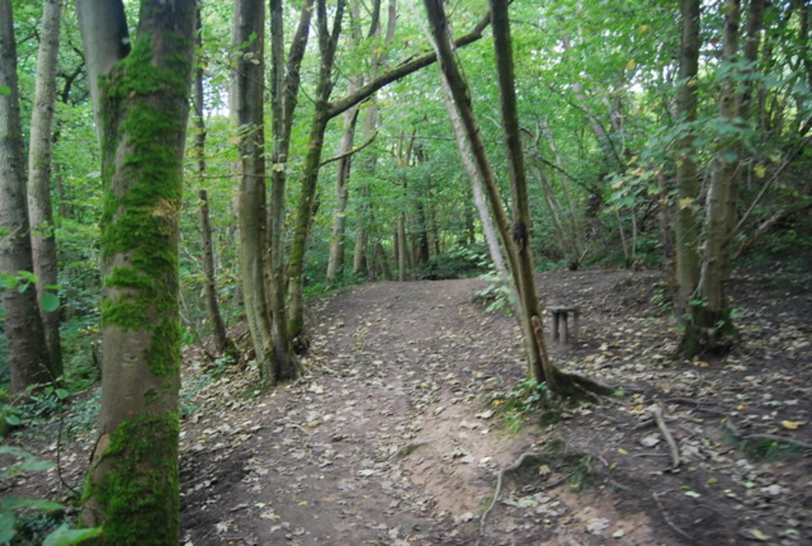 An image depicting the trail River Nidd and Nidd Gorge Loop and its surrounding area.