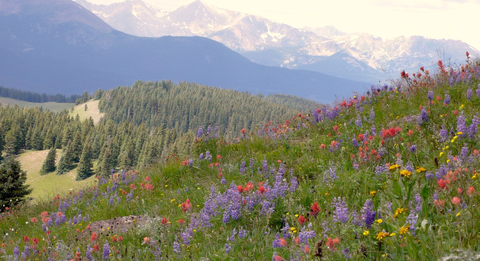 An image depicting the trail Shrine Ridge Trail and its surrounding area.