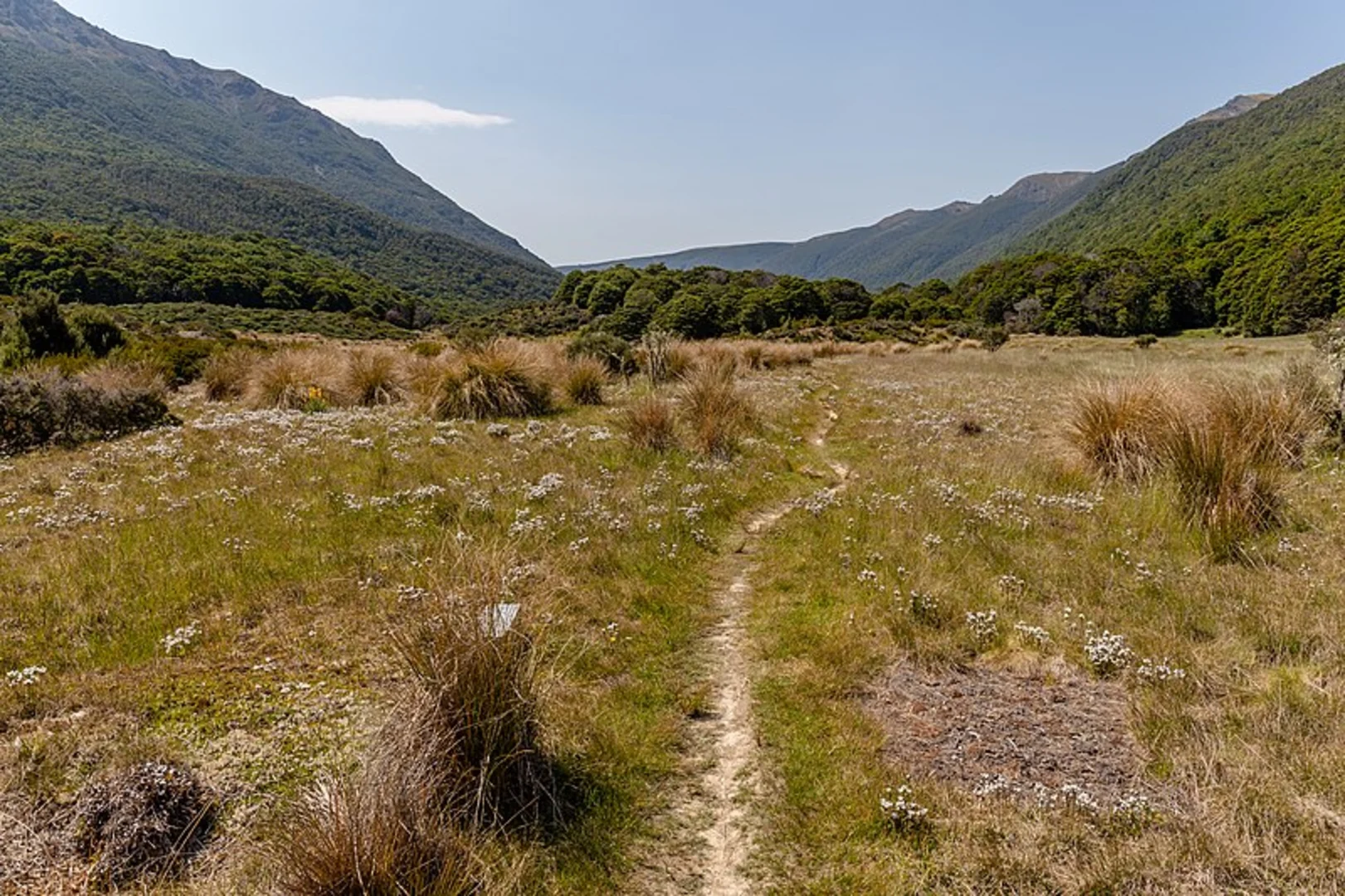 An image depicting the trail Cobb Valley - Trilobite Hut to Chaffey Hut and its surrounding area.