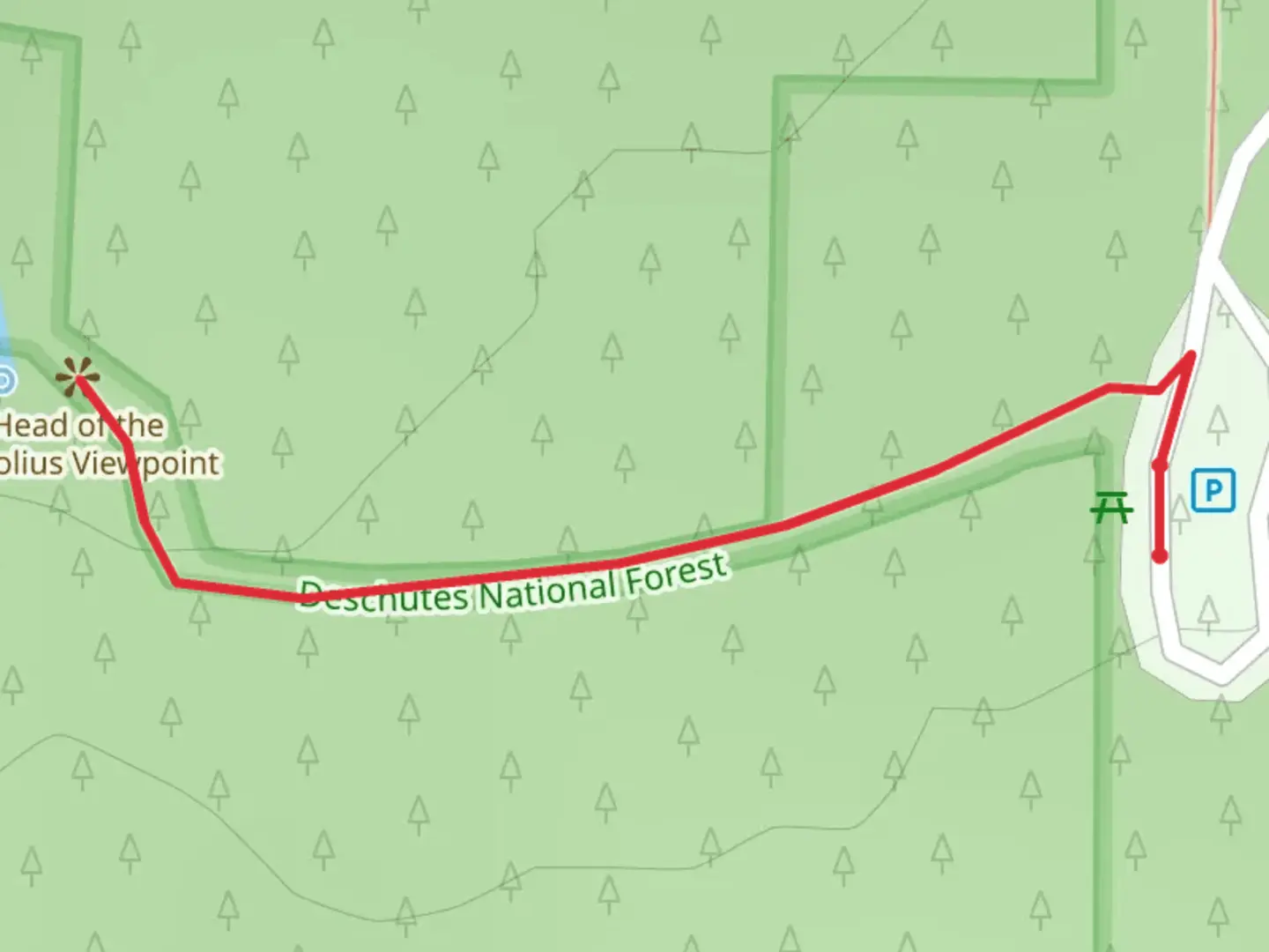 An image depicting the trail Metolius River Walk and its surrounding area.