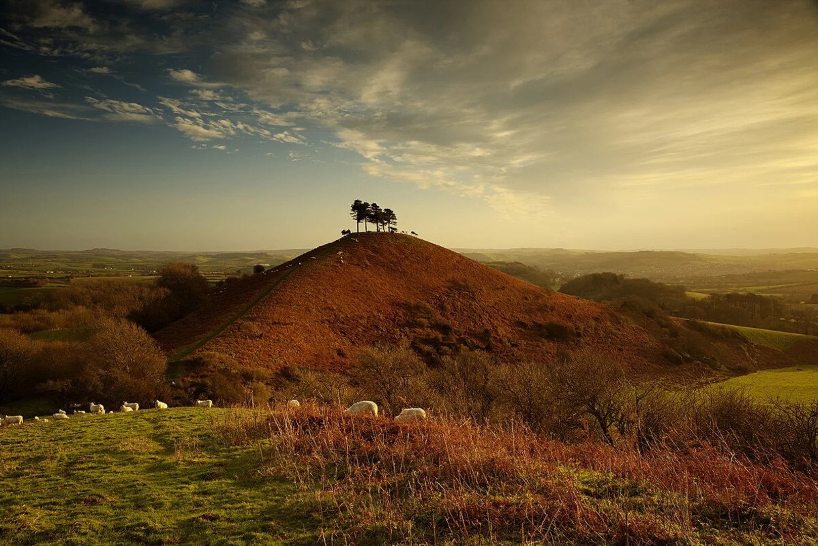 An image depicting the trail Colmer Hill and Eype Down Loop and its surrounding area.