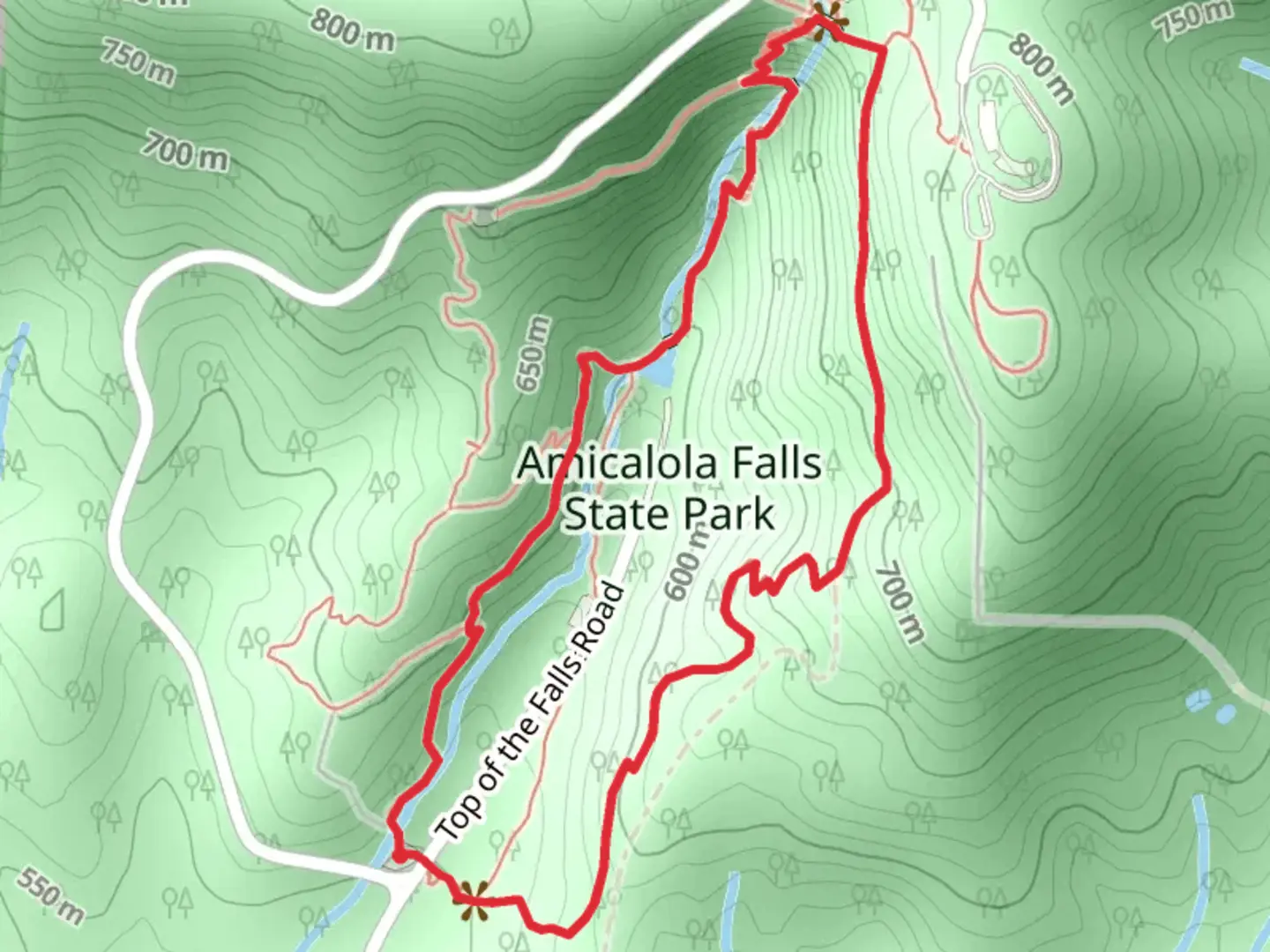 An image depicting the trail Amicalola Falls and East Ridge Loop Trail and its surrounding area.