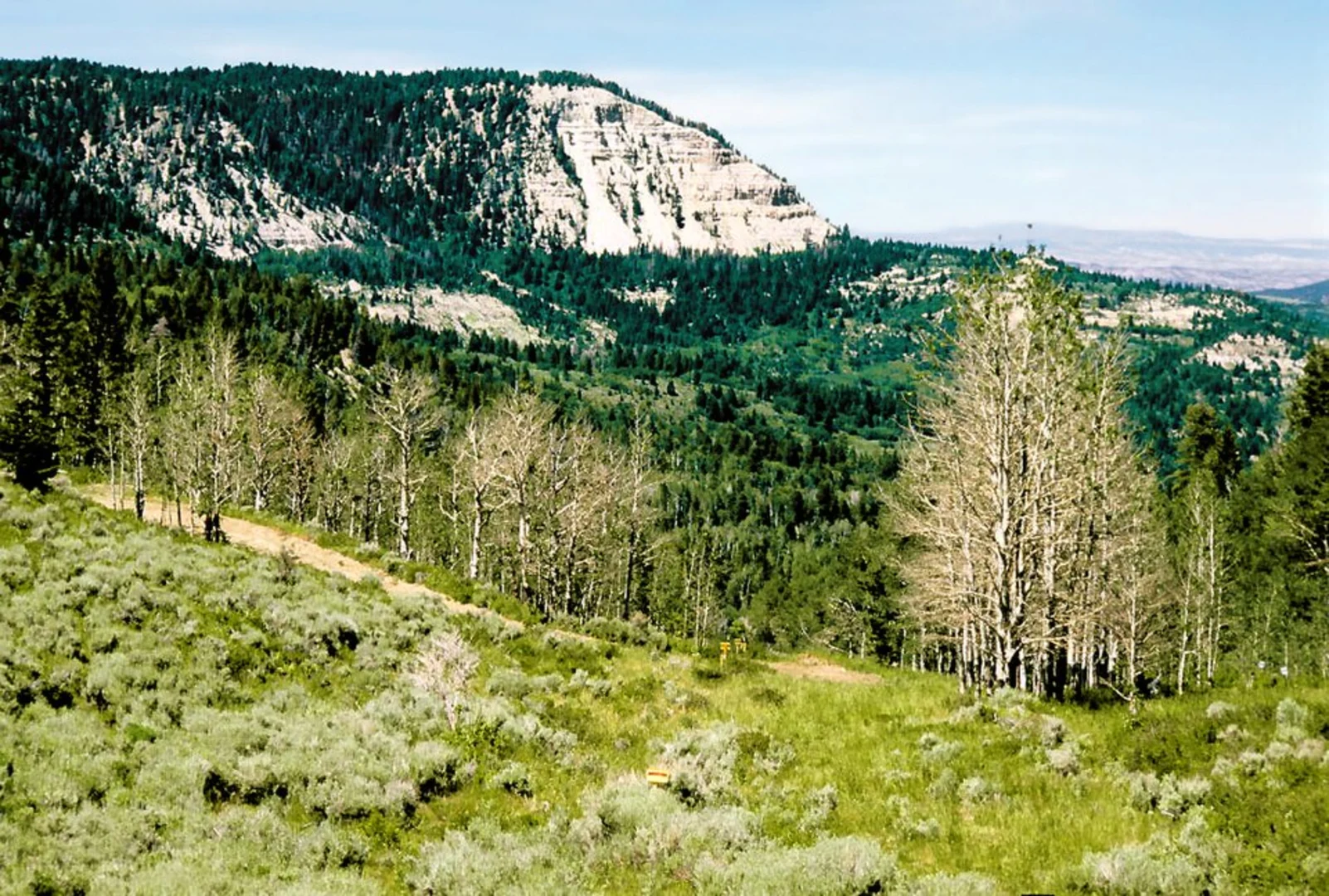 An image depicting the trail Douglas Pass View Point Walk and its surrounding area.
