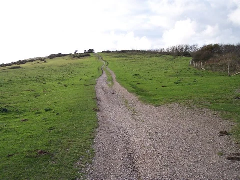 An image depicting the trail Mottistone Down and Harboro Loop and its surrounding area.