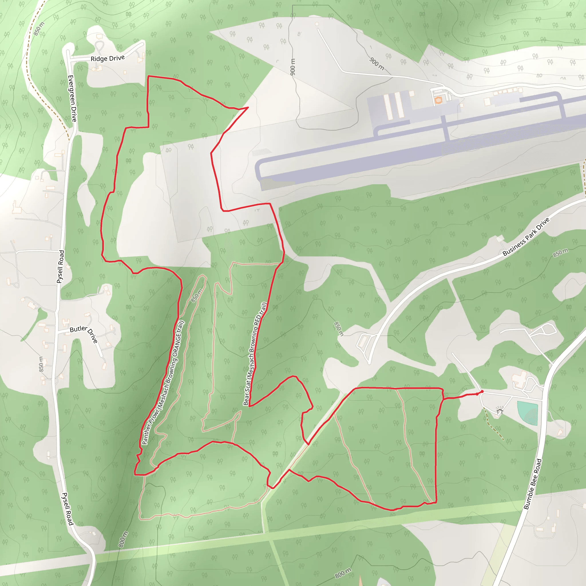 Mary's Path, Panther Prowl and Bear Scat Loop Trail mobile static map