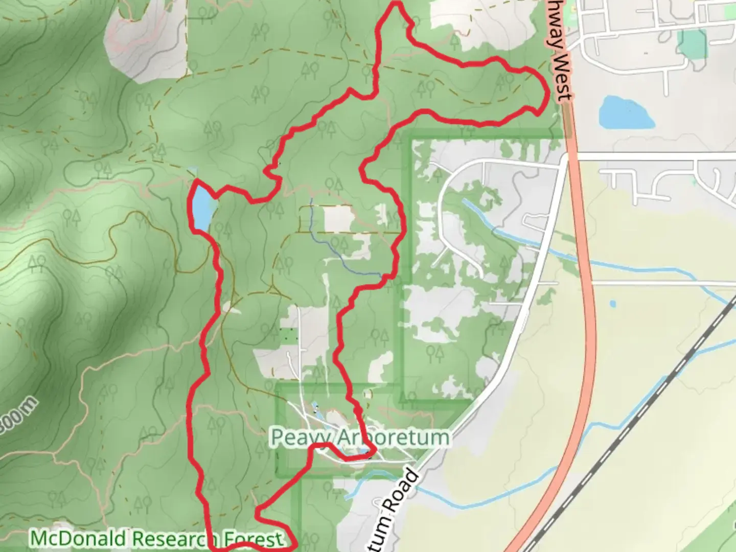 An image depicting the trail Forest Discovery and Calloway Creek Loop Trail and its surrounding area.