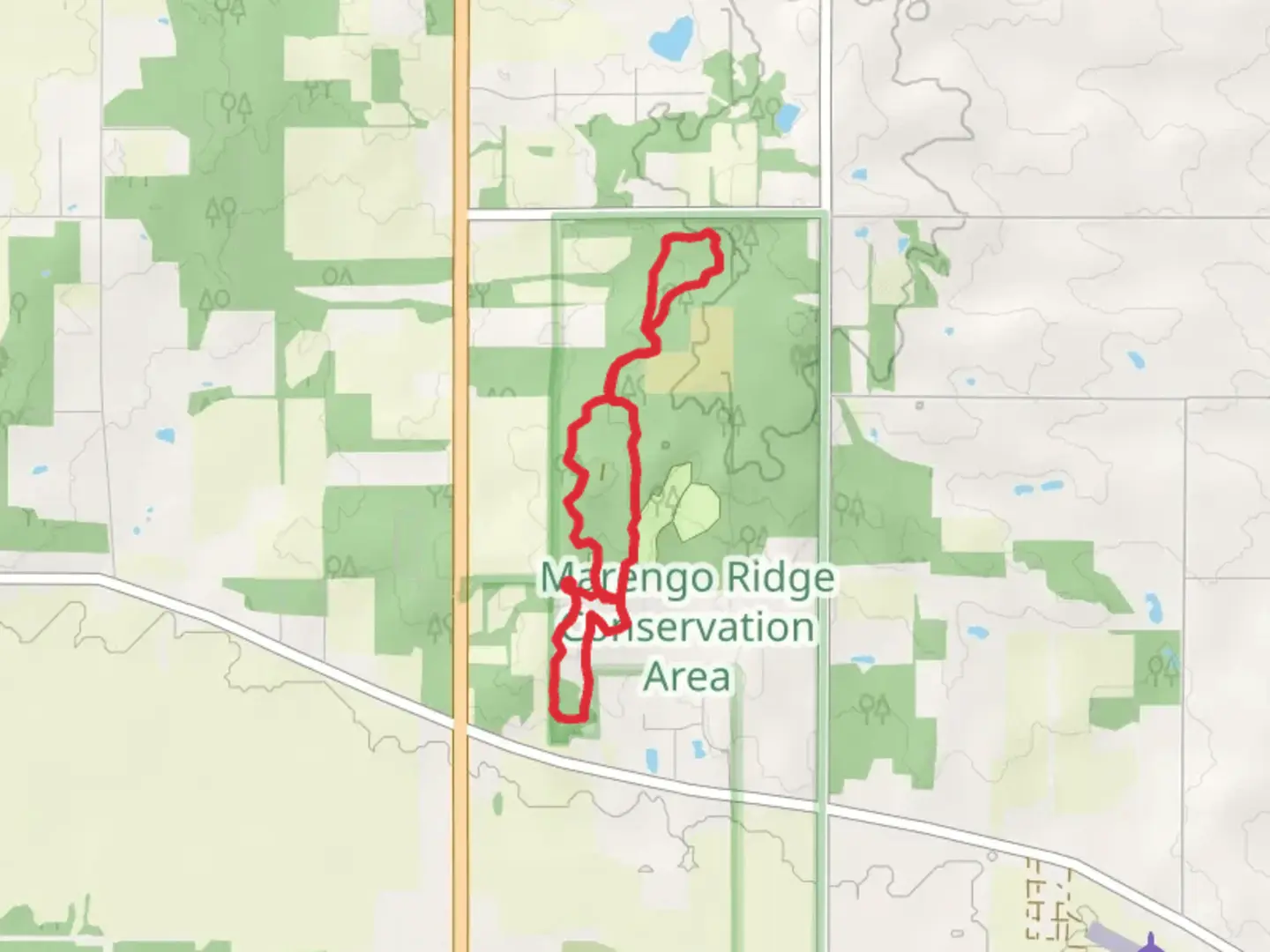 An image depicting the trail Thomas Woods Campsite - Entrance Road and its surrounding area.