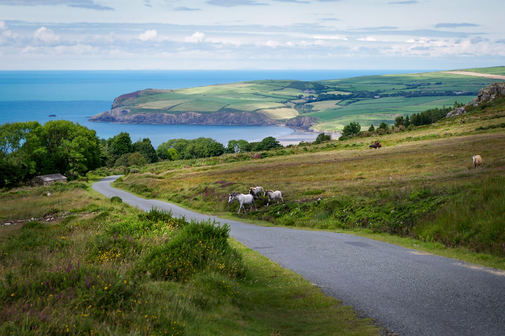 An image depicting the trail Mynydd Dinas and its surrounding area.
