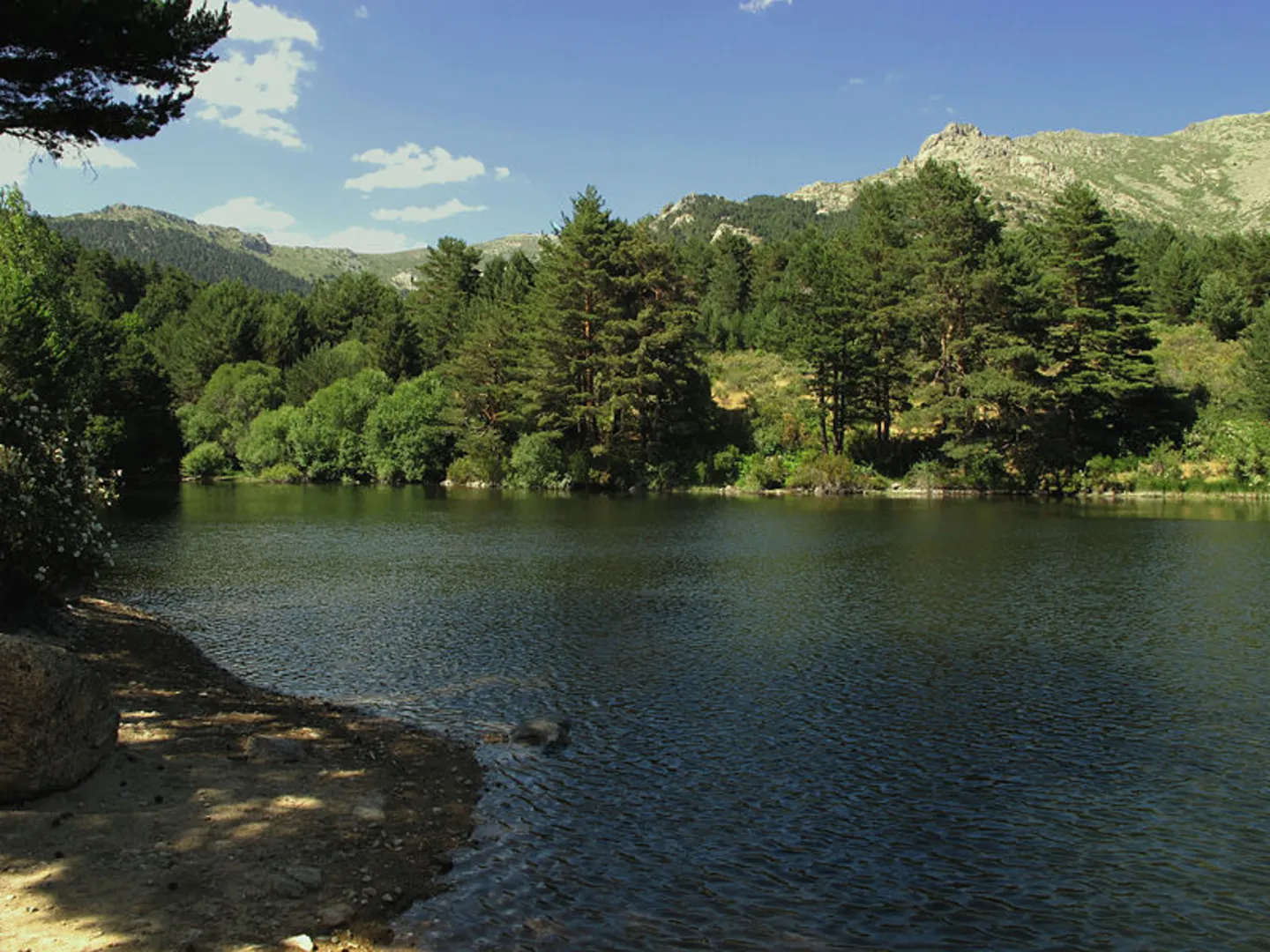 An image depicting the trail Ortiz Trail and its surrounding area.
