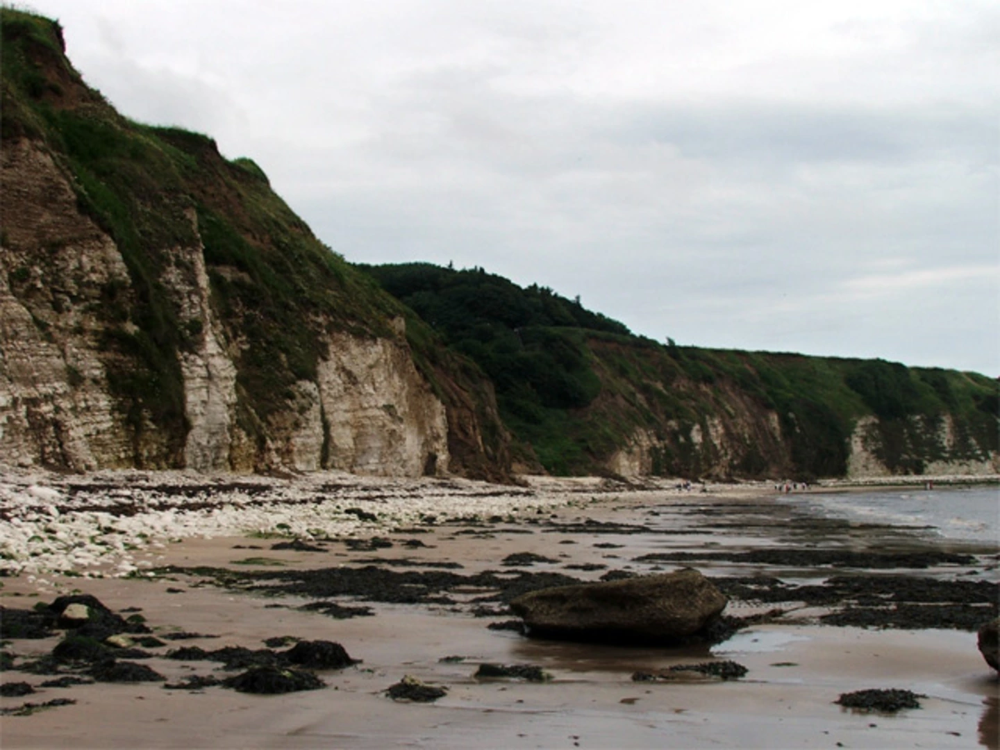 An image depicting the trail Dyke Wood Loop and its surrounding area.