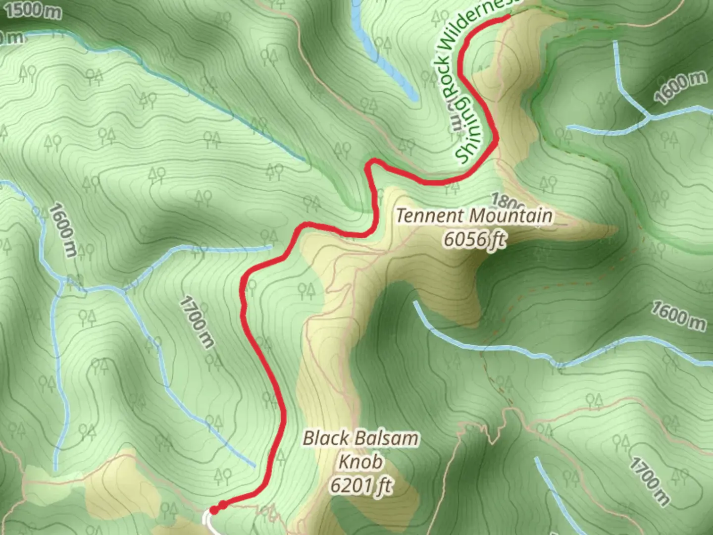 An image depicting the trail Grassy Cove Gap via Ivestor Gap Trail and its surrounding area.