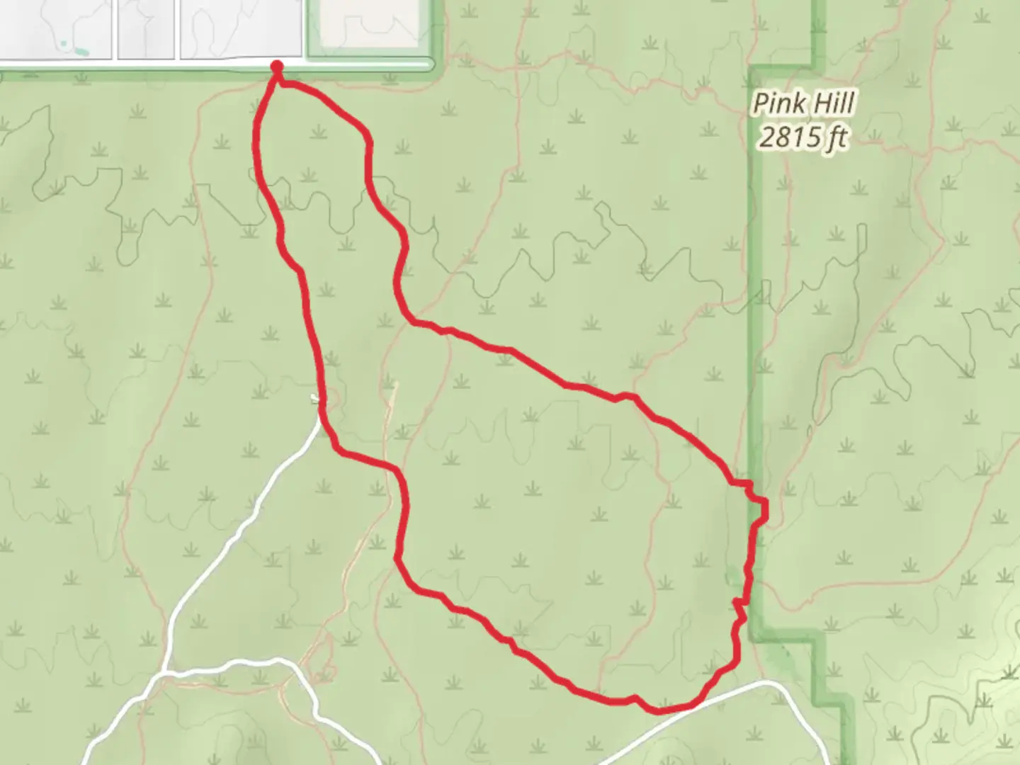 An image depicting the trail Mica View and Cactus Forest Loop Trail and its surrounding area.