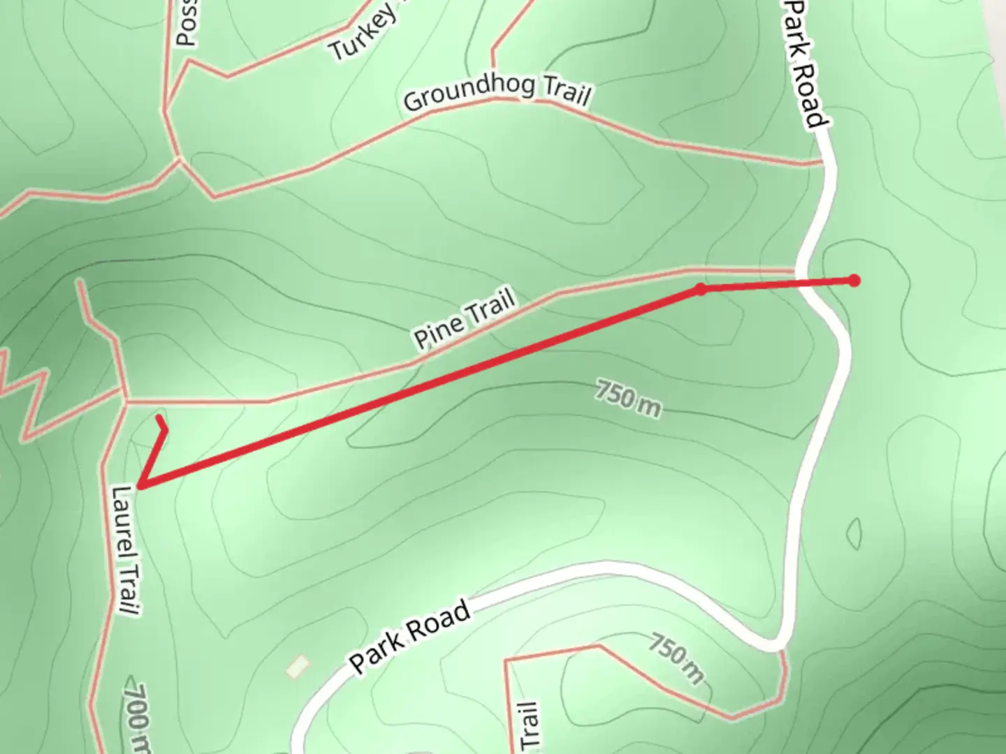 An image depicting the trail Pine Trail and its surrounding area.