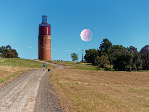 Murray to Mountains Rail Trail Walk - Rutherglen to Wahgunyah
