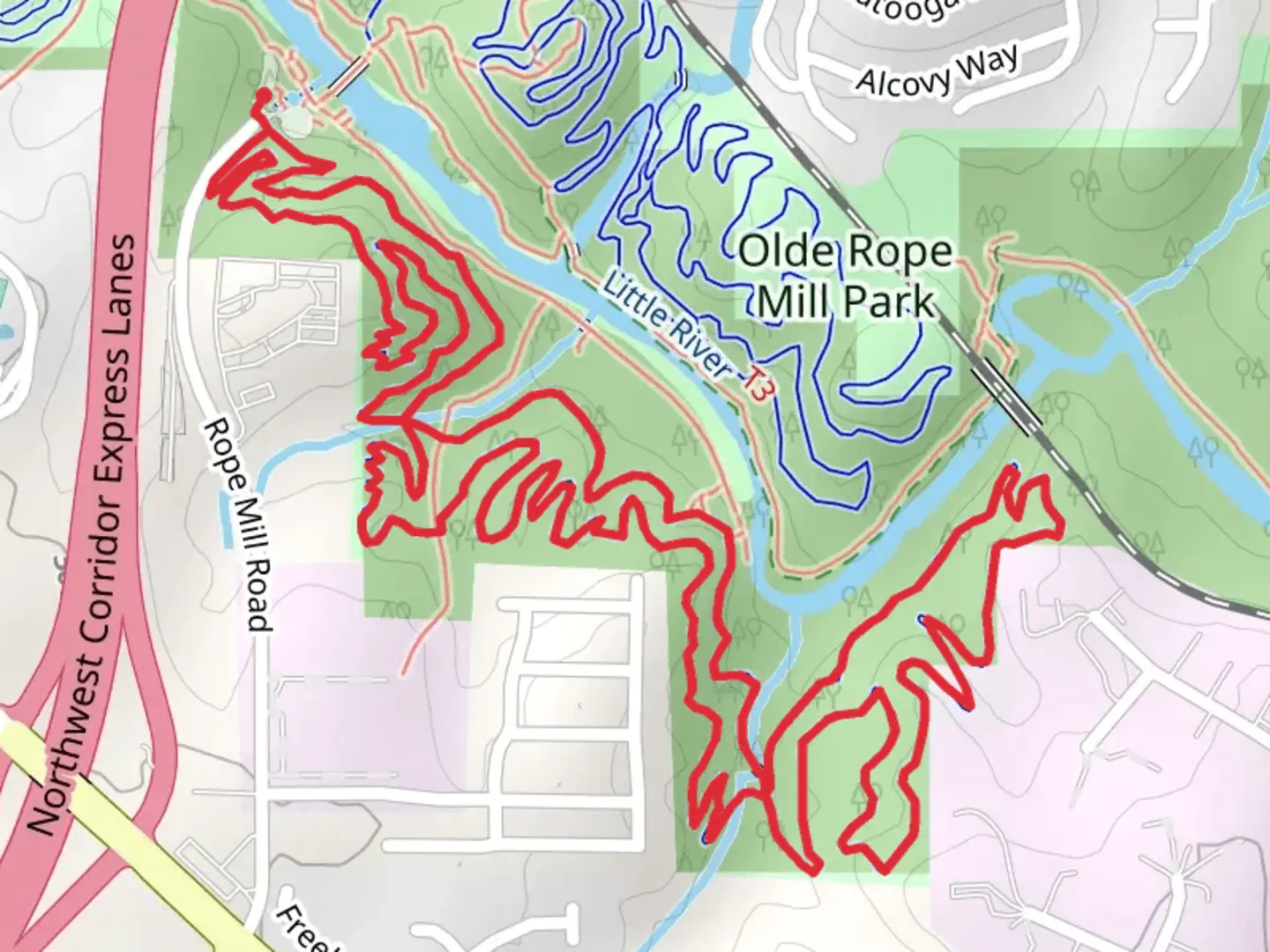 An image depicting the trail Avalanche Loop Trail and its surrounding area.