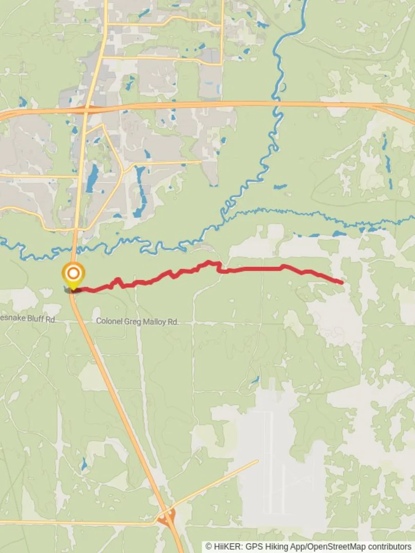 An image depicting the trail Pearl Creek- Florida Trail and its surrounding area.