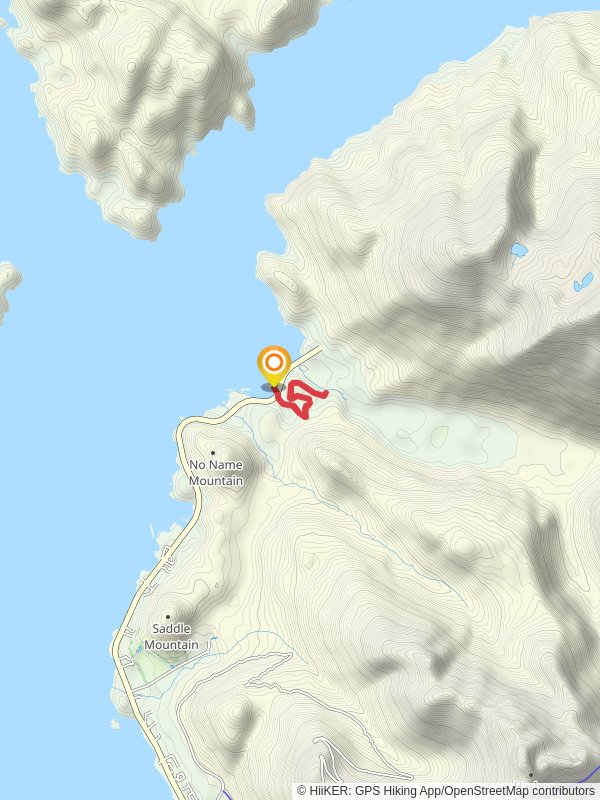 Starrigavan Forest and Muskeg Trail