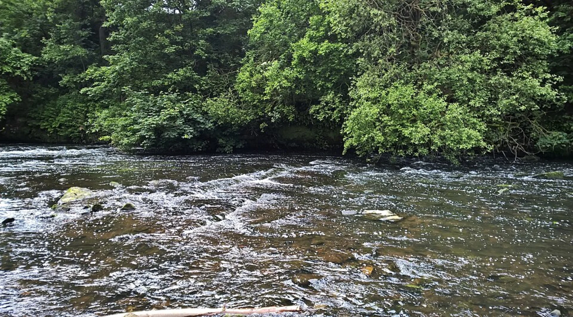 An image depicting the trail Haughton Dale and Peak Forest Canal and its surrounding area.