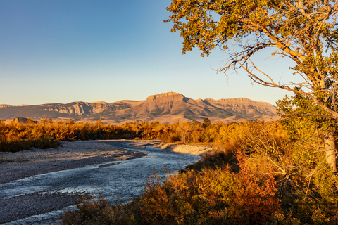 Clary Coulee Trail