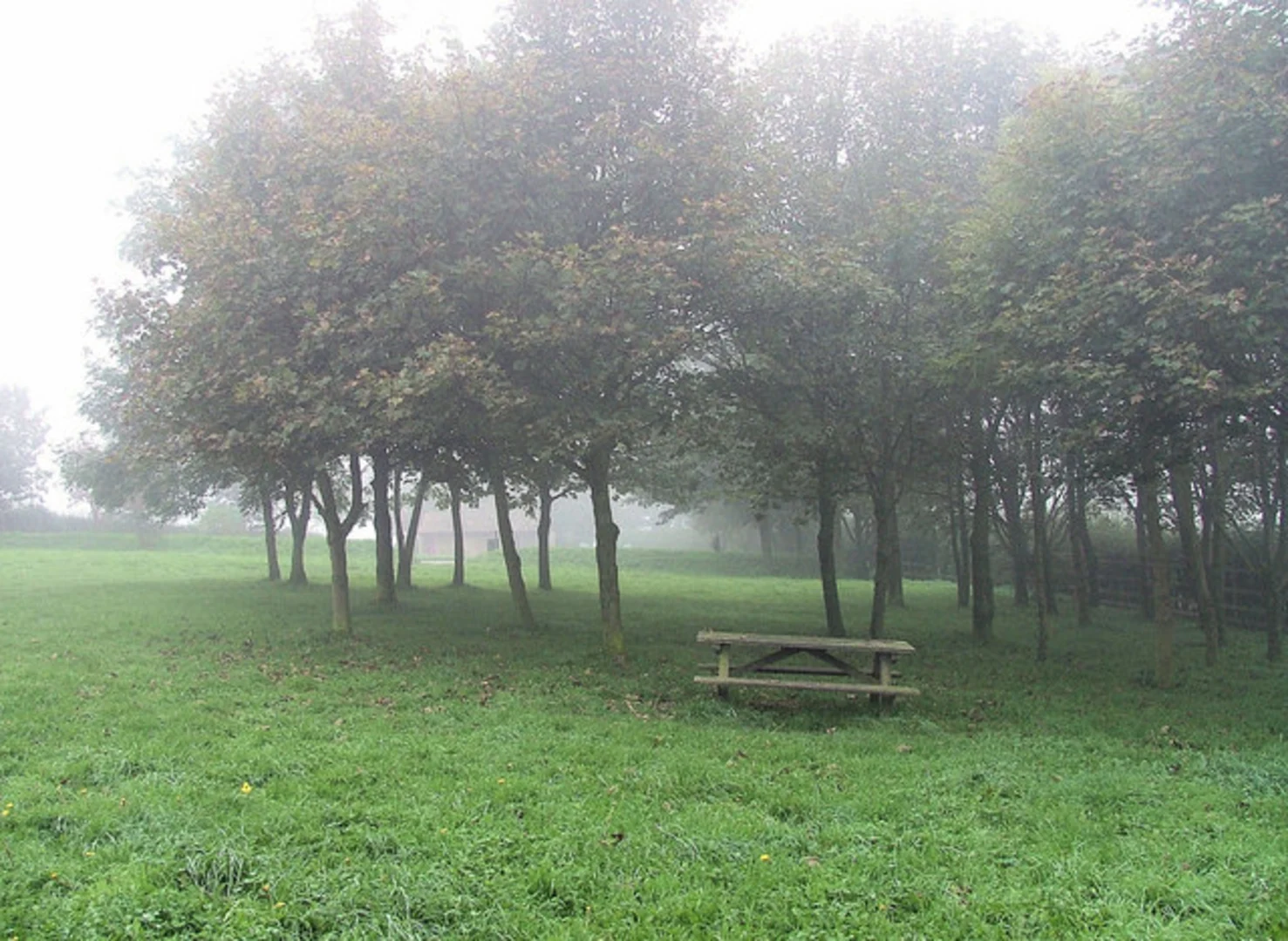 An image depicting the trail Ganton to Filey Walk via Staxton Hill and its surrounding area.