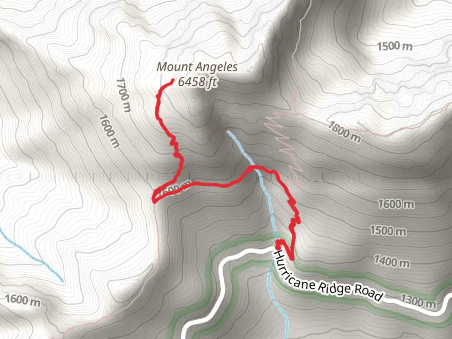 An image depicting the trail Switchback and Mount Angeles Trail and its surrounding area.