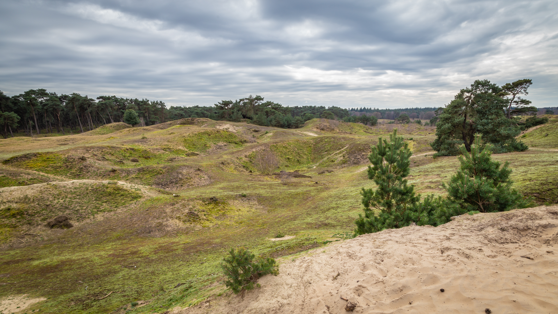 An image depicting the trail Zeven Kolken, De Valouwe and Immenkamp Weg and its surrounding area.