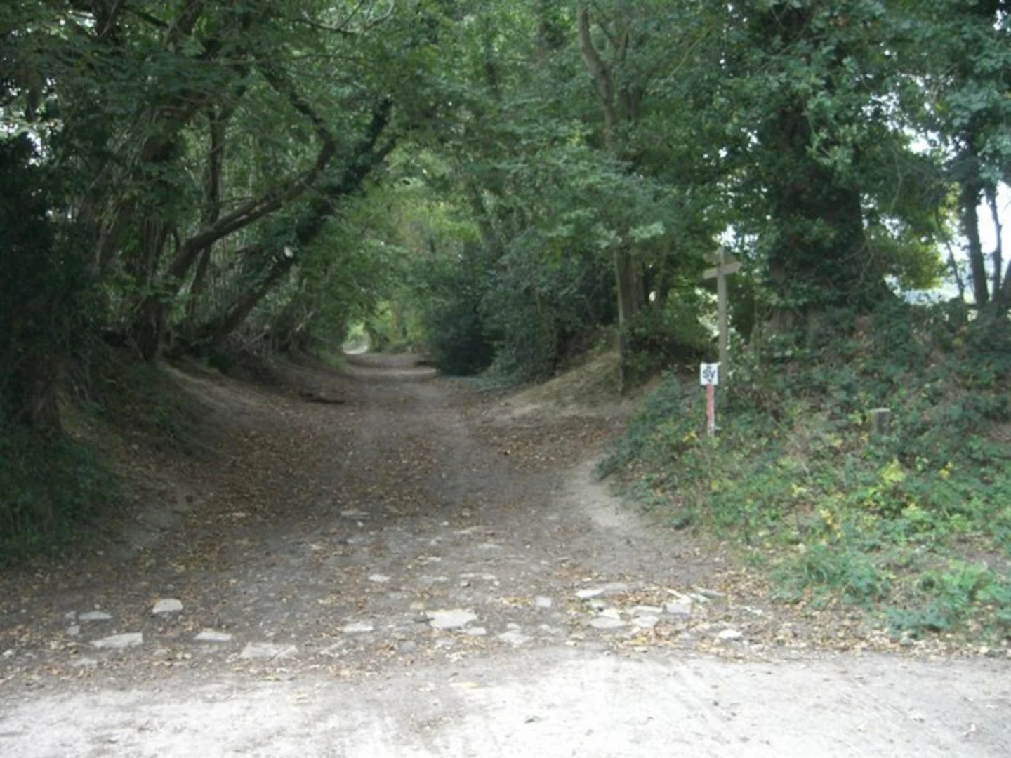 An image depicting the trail Spring Hill Loop and its surrounding area.