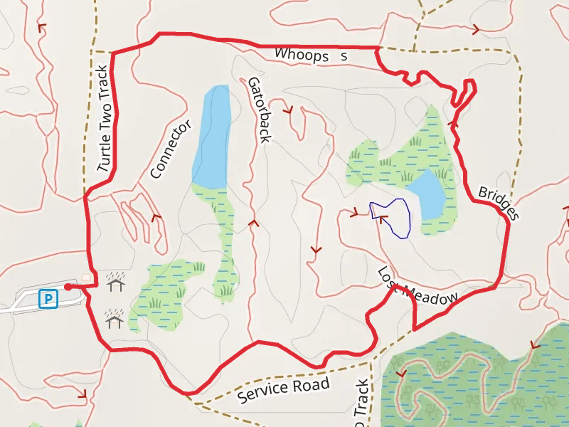 Lost Meadow Connector, Bridges and Turtle Two Track Loop