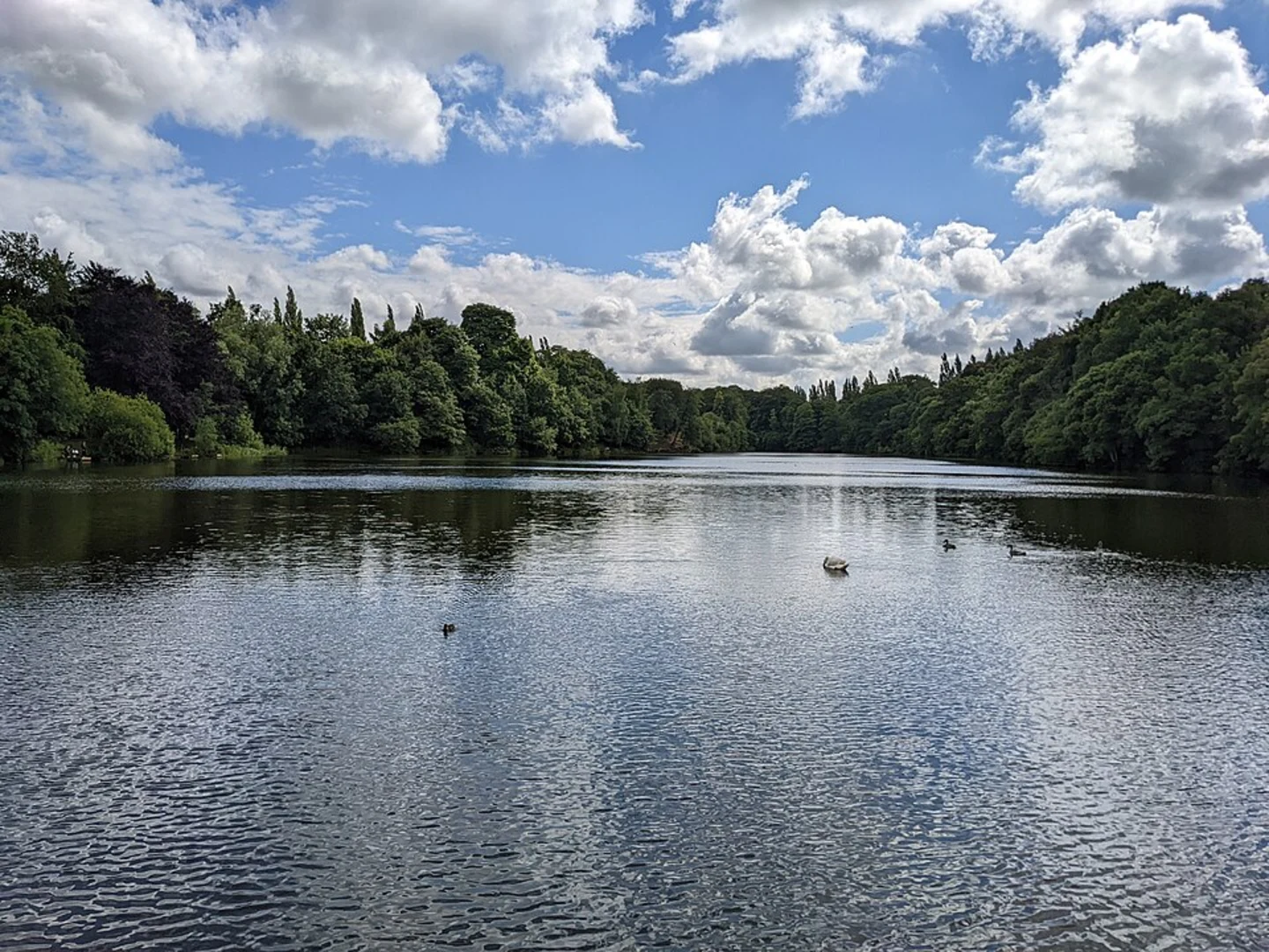 An image depicting the trail Lymm Dam and Lymm Cross Loop and its surrounding area.