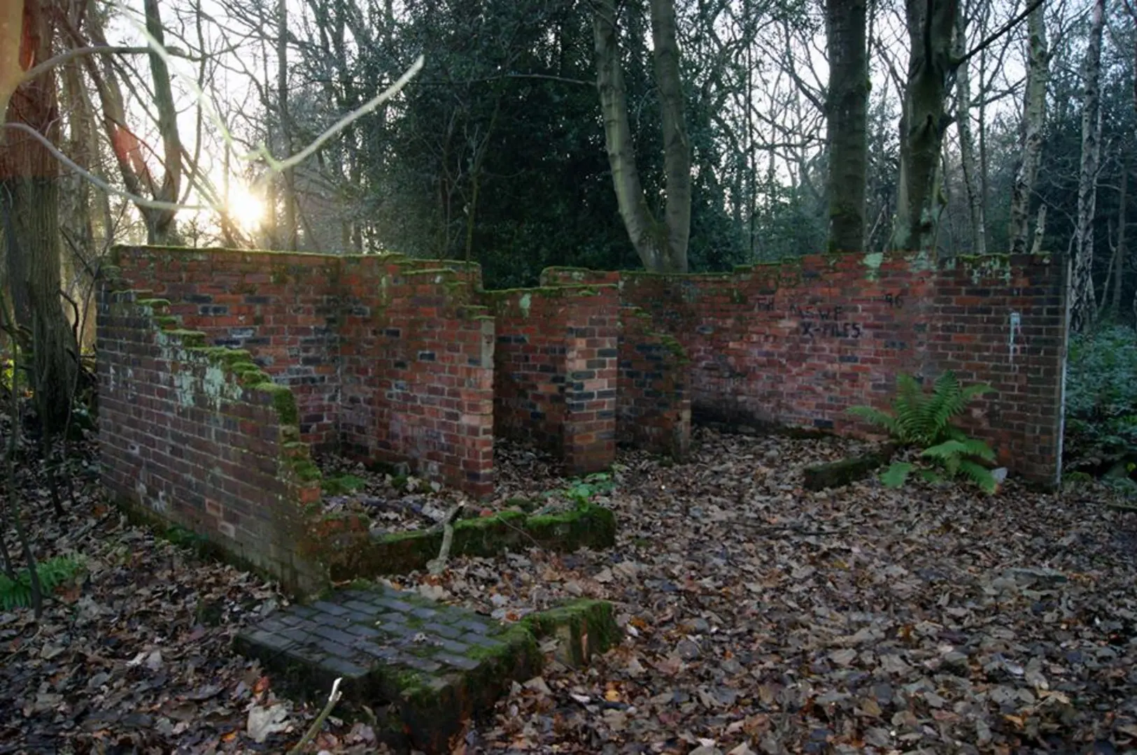 An image depicting the trail Calverley Loop and its surrounding area.