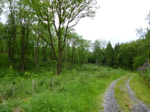 An image depicting the trail Pen Forest and Cockroad Wood Castle Loop and its surrounding area.