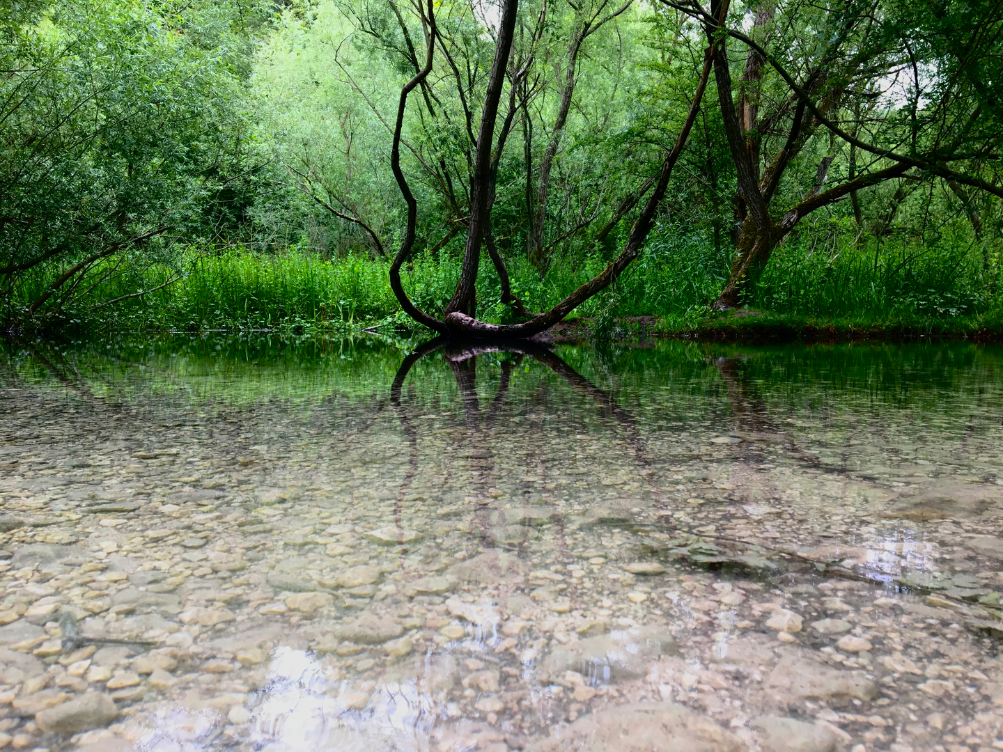 An image depicting the trail Hessle Loop via Yorkshire Wolds Way National Trail and its surrounding area.