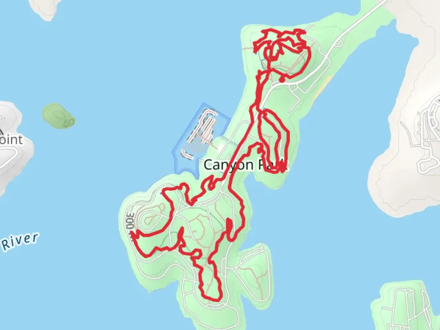 An image depicting the trail Madrone Loop Trail - Canyon Park and its surrounding area.