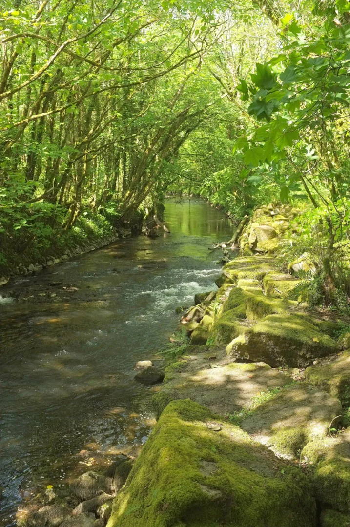 An image depicting the trail Woodleigh Wood and River Avon Walk and its surrounding area.