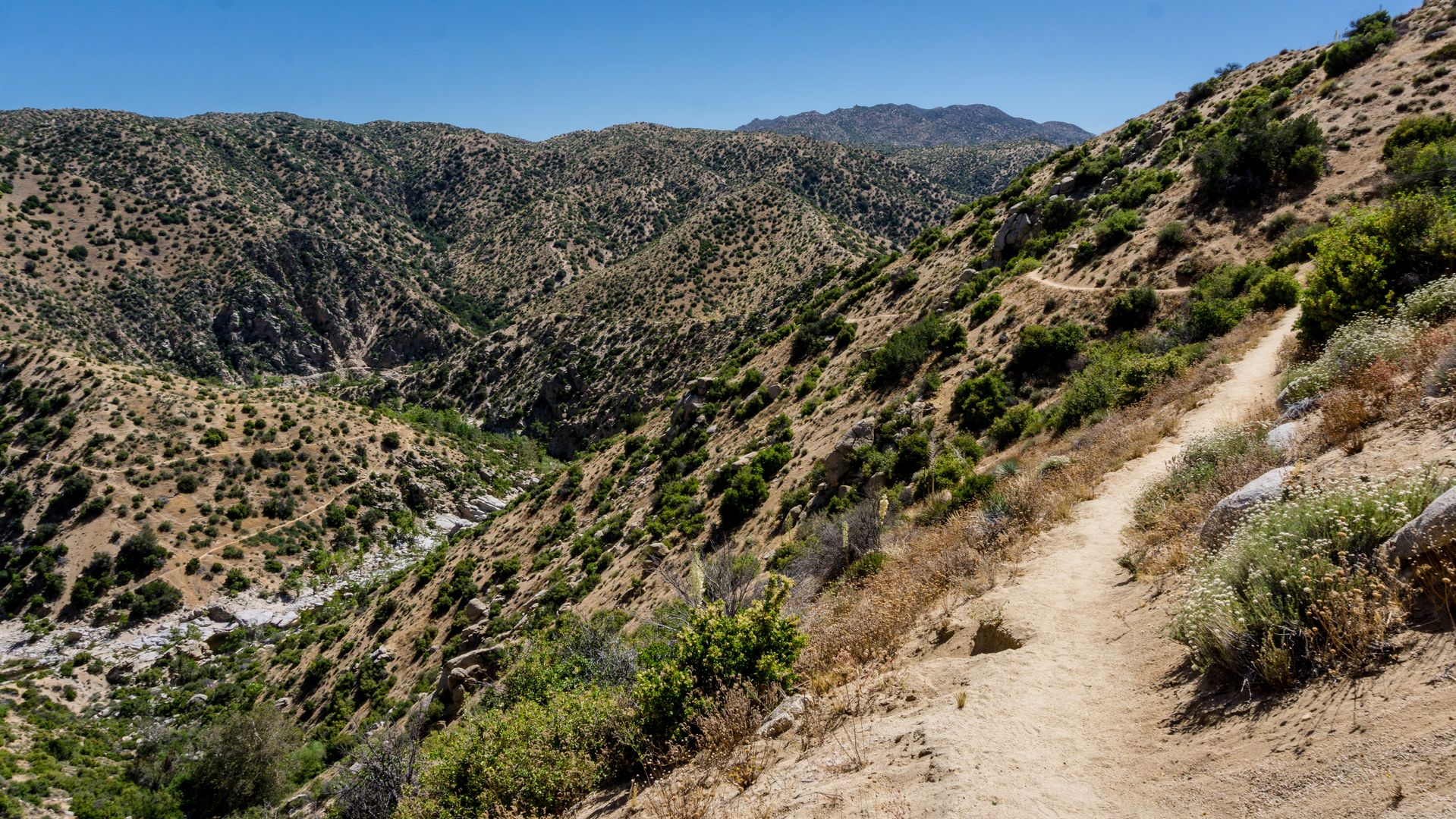 An image depicting the trail Bradford Ridge Path and its surrounding area.