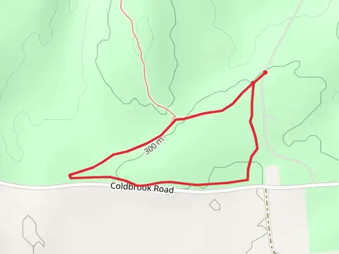 Higley Flow State Park Road Loop