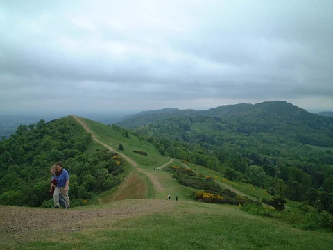 An image depicting the trail Summer Hill, Pinnacle Hill, Jubilee Hill and Perseverance Hill Loop and its surrounding area.