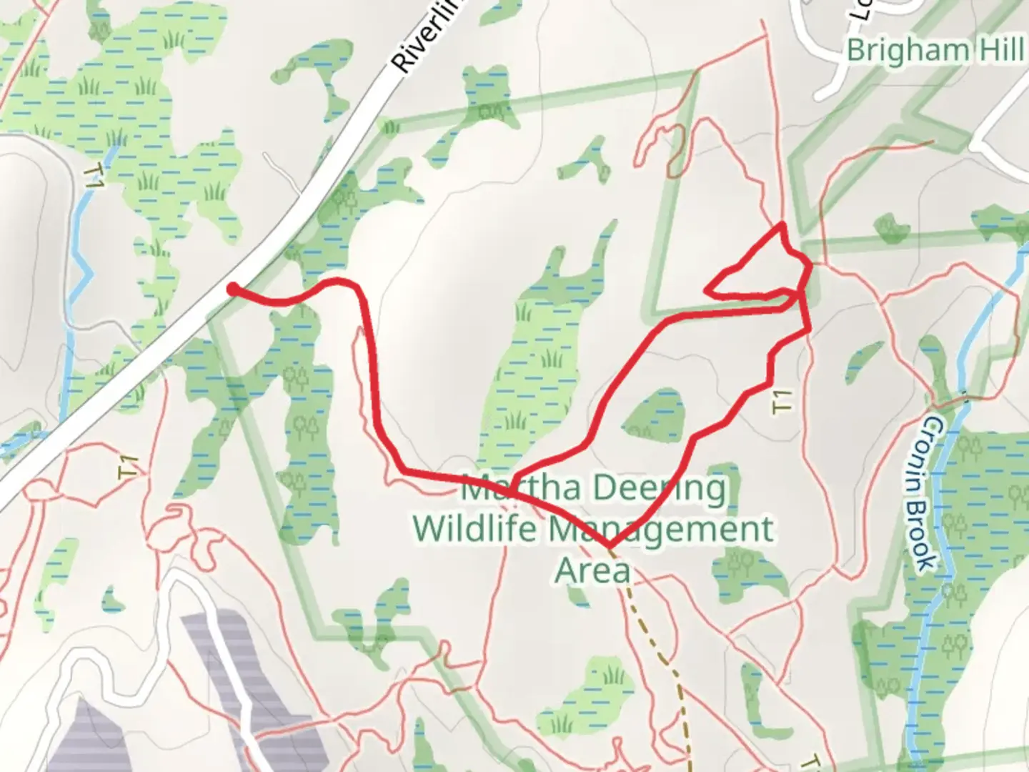 An image depicting the trail Martha Deering Wildlife Area Loop Trail and its surrounding area.