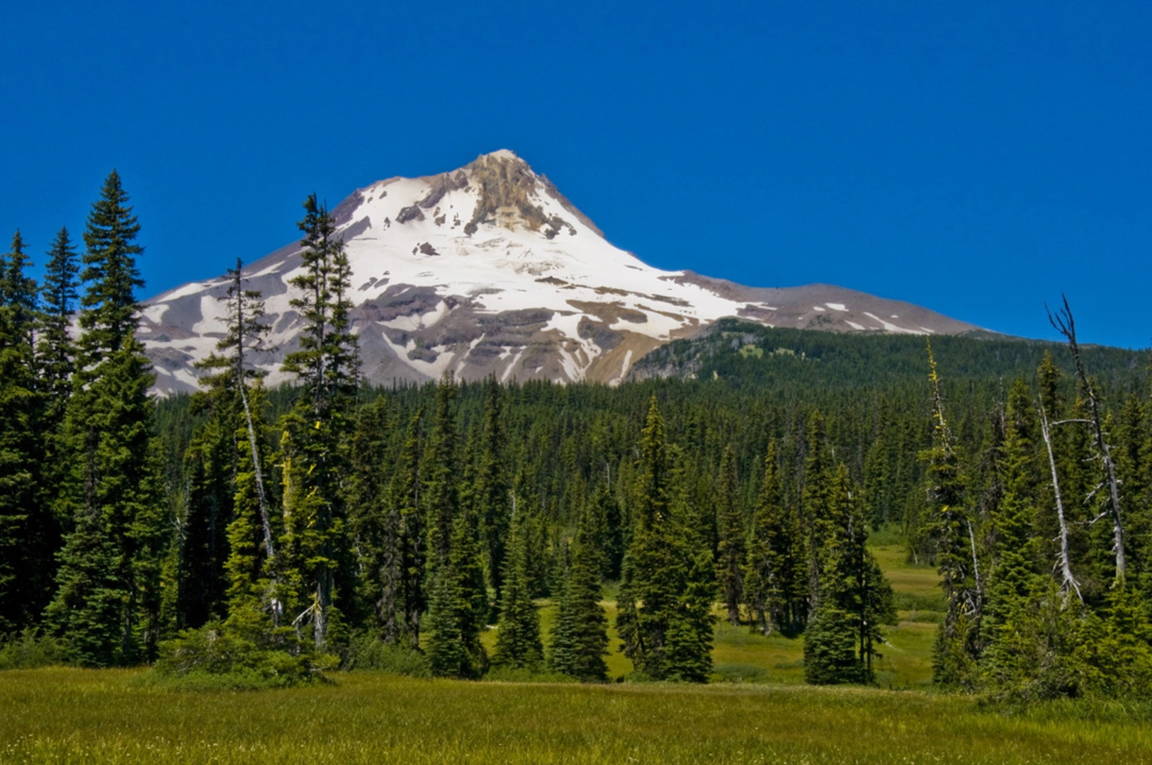 An image depicting the trail Elk Mountain Vista Trail via Elk Meadows Trail and its surrounding area.