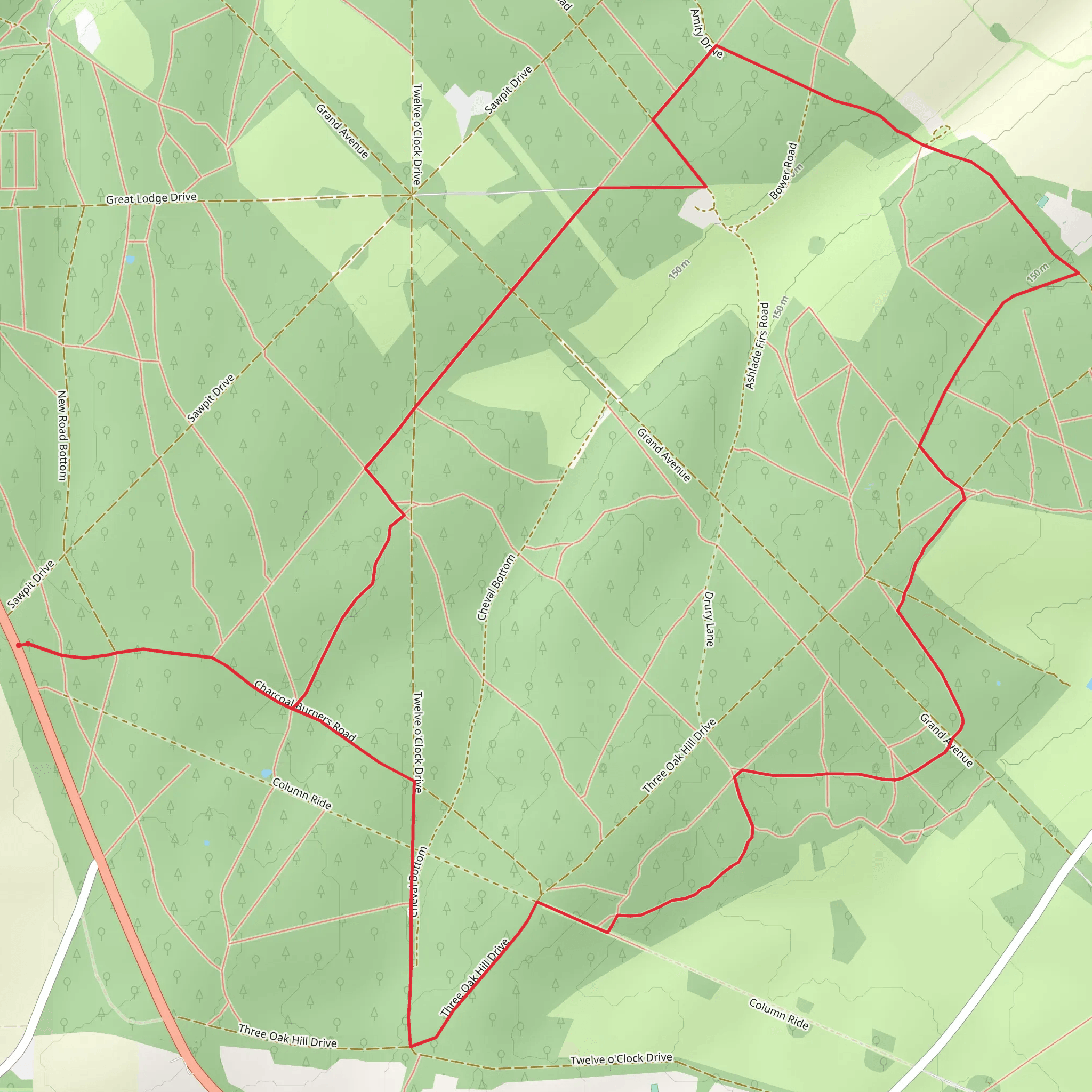 Savernake Forest Short Loop mobile static map