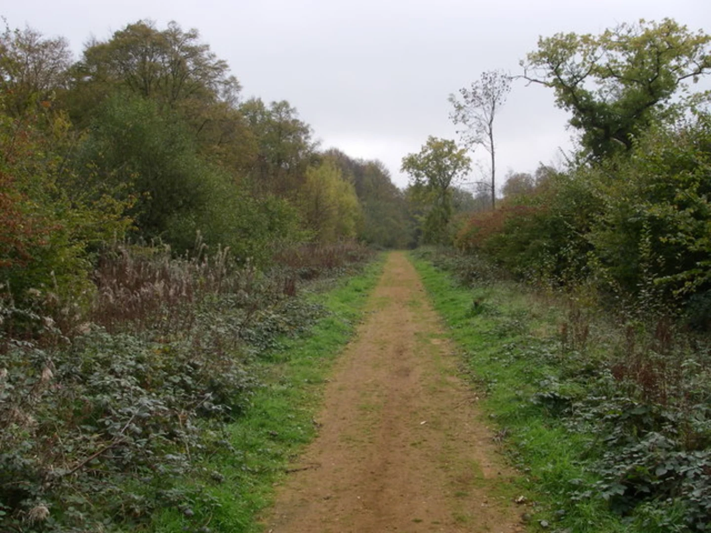 An image depicting the trail Chalkney Wood and Chappel Country Park Loop and its surrounding area.