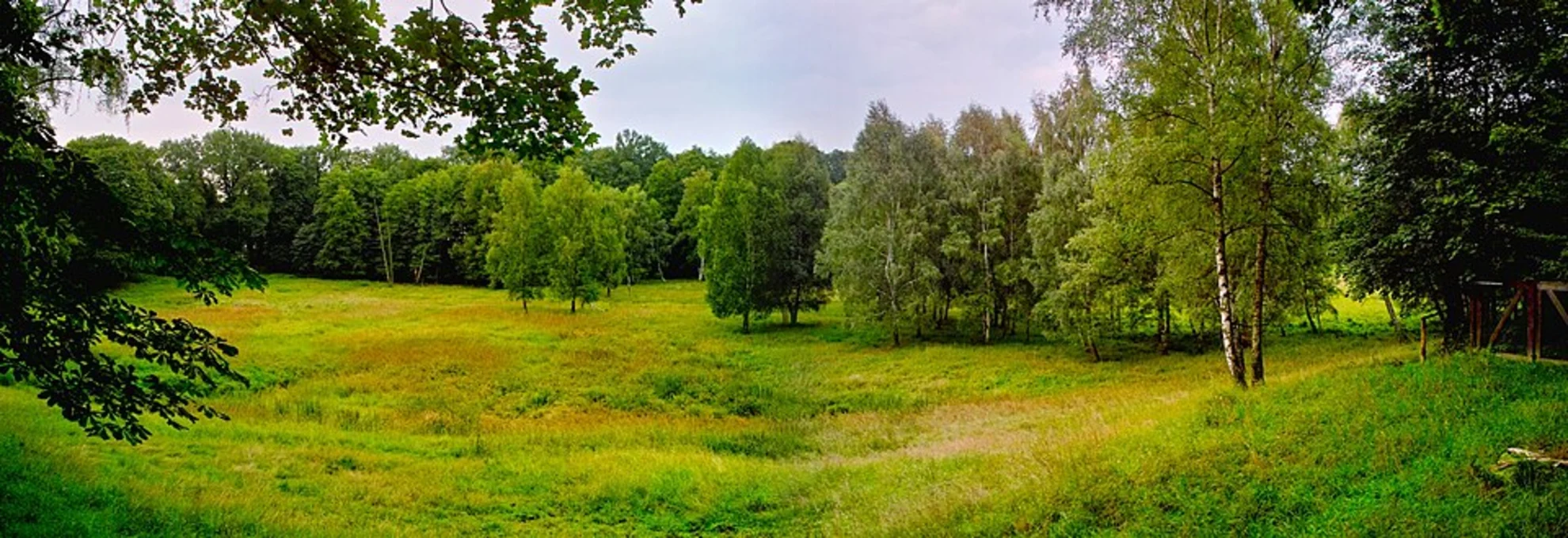 An image depicting the trail Hüttenweg Loop and its surrounding area.